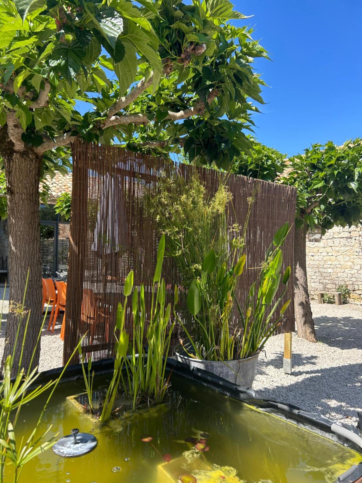 Les Fontanelles Du Quercy Blanc Villa Montcuq Bagian luar foto